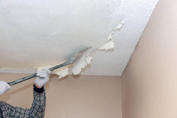 Should You Rent Or Buy Equipment For Popcorn Ceiling Removal2
