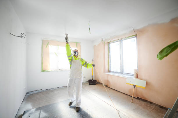 What to Know About Applying Drywall Paint1